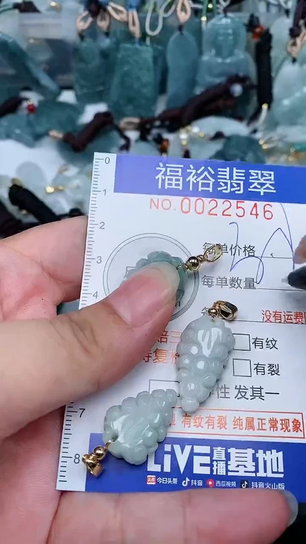 【闪购商品】翡翠颈饰未镶嵌...0022546多样性发其一