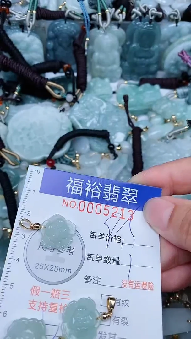 【闪购商品】翡翠颈饰未镶嵌...0005213多样性发其一
