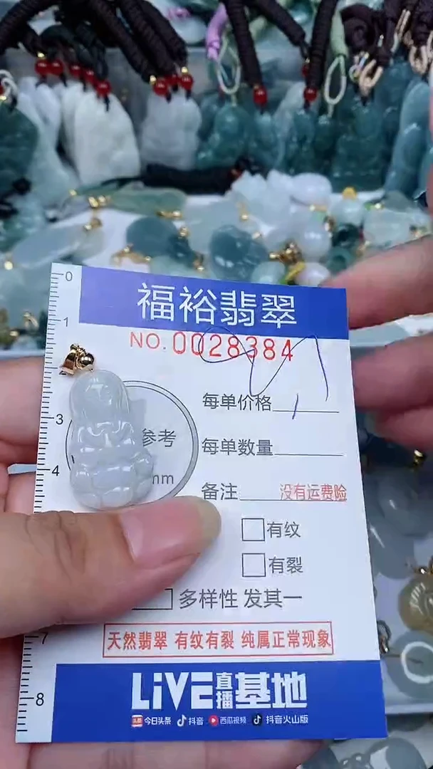 【闪购商品】翡翠颈饰未镶嵌...0028384