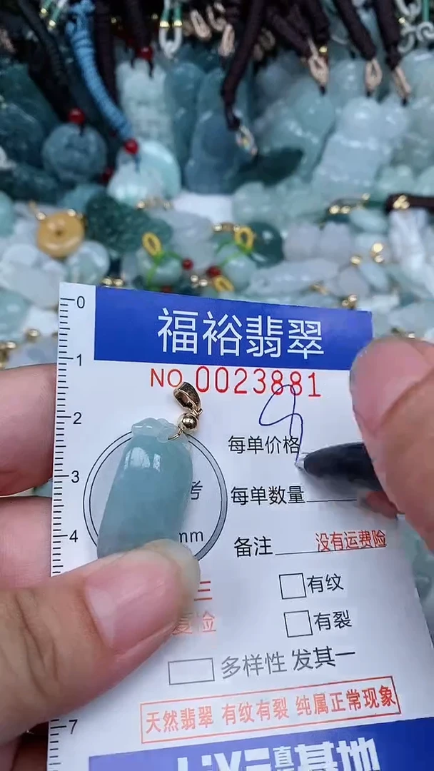 【闪购商品】翡翠颈饰未镶嵌...0023881