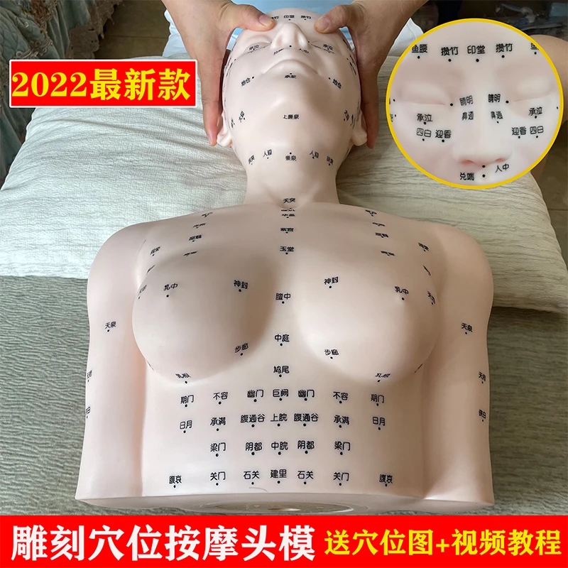 皮肤管理头模特美容院学习脸部穴位按摩练手法假人光头模型带肩膀