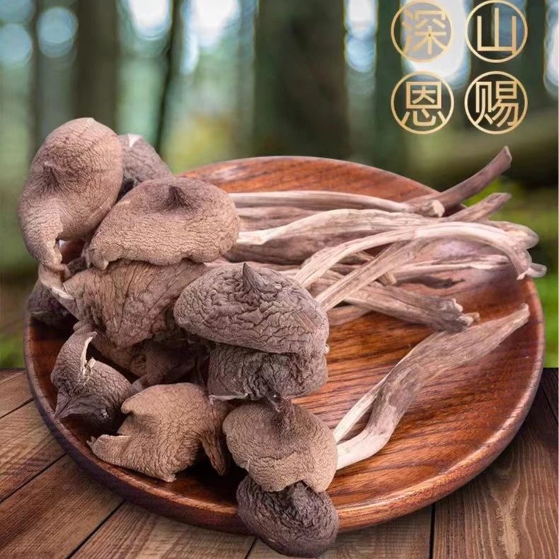 花高点云南野生鸡枞菌100g/袋煲汤炖汤料（采用冻干技术，免洗）