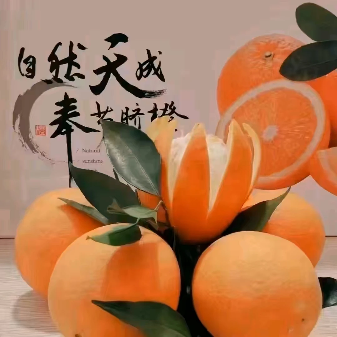 正宗奉节脐橙（产地直发)5斤10斤20斤装新鲜采摘 现摘现发无子无核