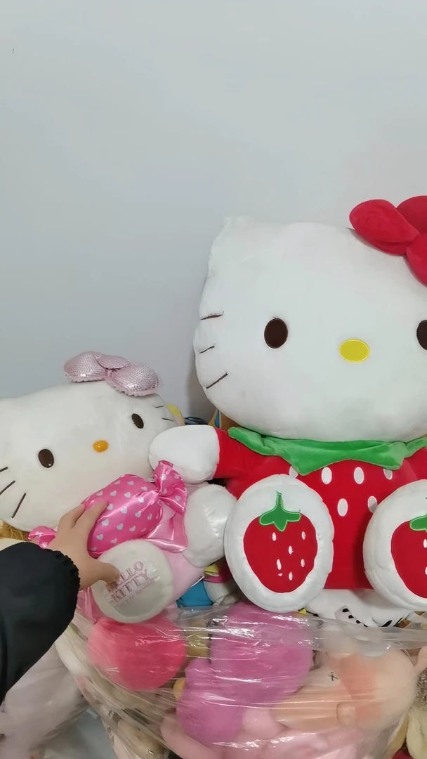 中古毛绒玩具，No 退  No 换