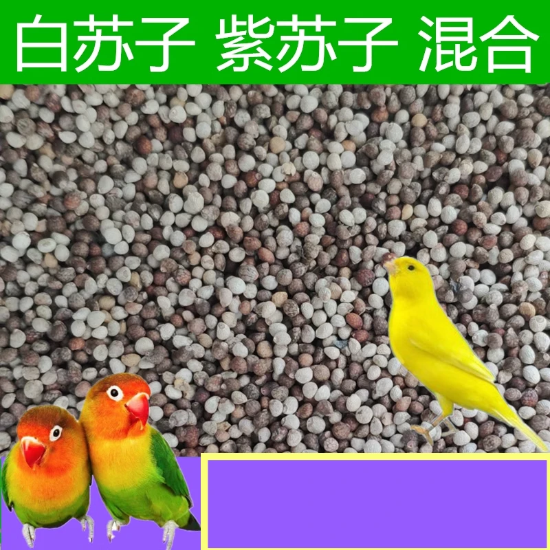 鸟食鸟粮混合苏子白苏子玉鸟金青芙蓉鸟大金黄灰燕丝雀文鸟鹦鹉