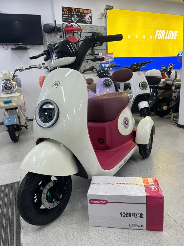 三轮车Q70 T S爱 玛 专用电池48V20AH大容量电池