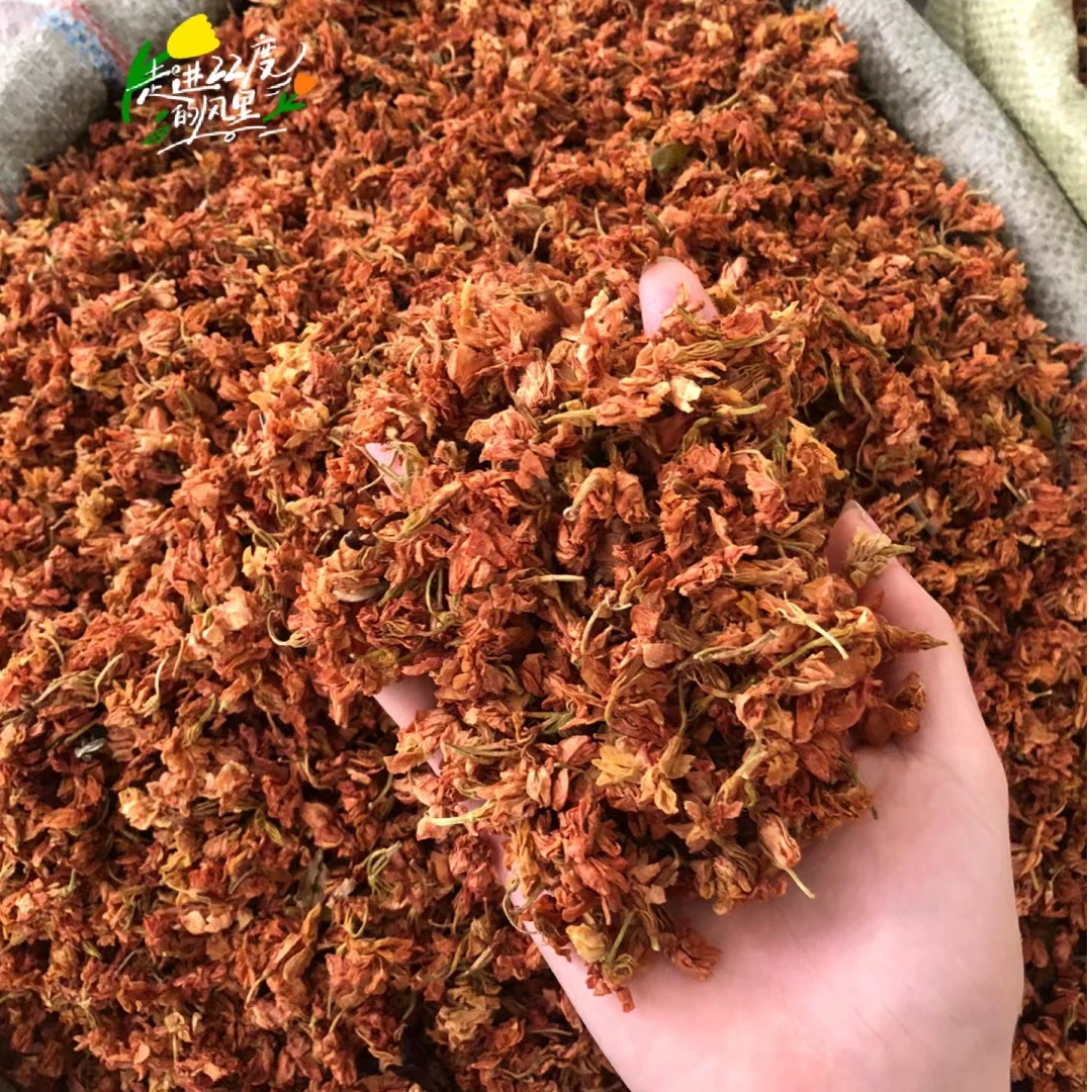 【彩】罗汉果花 高原农家山货