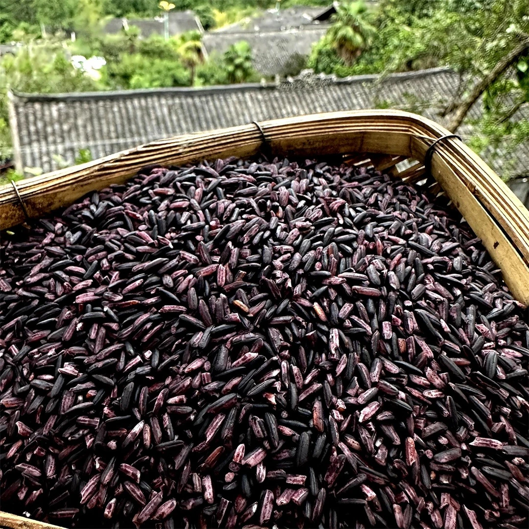 【彩】紫糯米  高原农家山货
