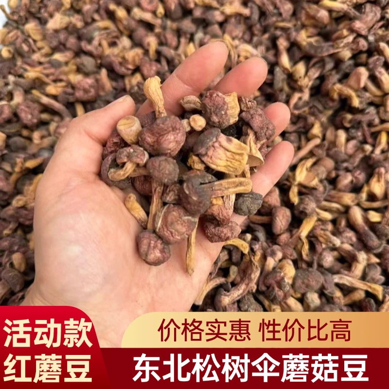 【雨后红蘑豆】东北野生松树伞蘑菇豆红蘑豆肉蘑鸡血蘑1斤包邮