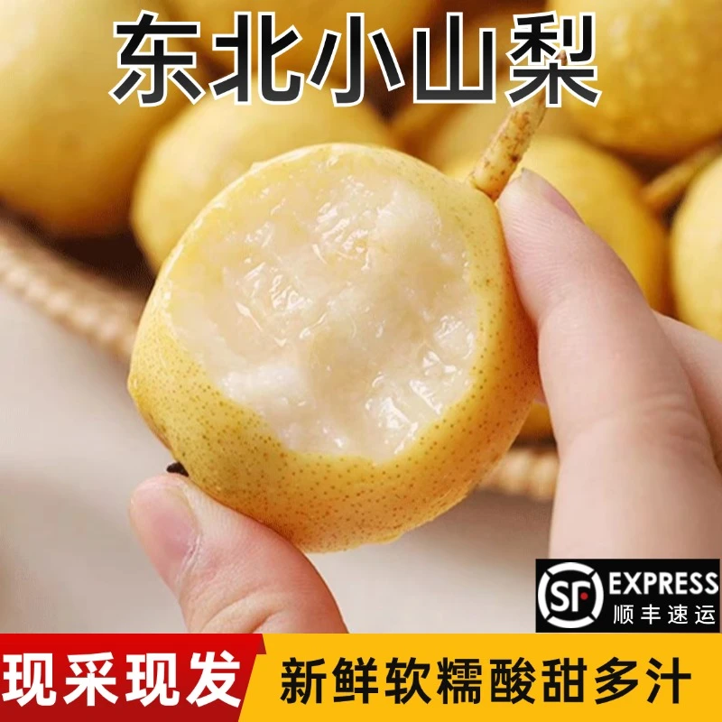 【山梨】东北老式小山梨现采现发酸甜多汁老味道新鲜发货顺丰快递