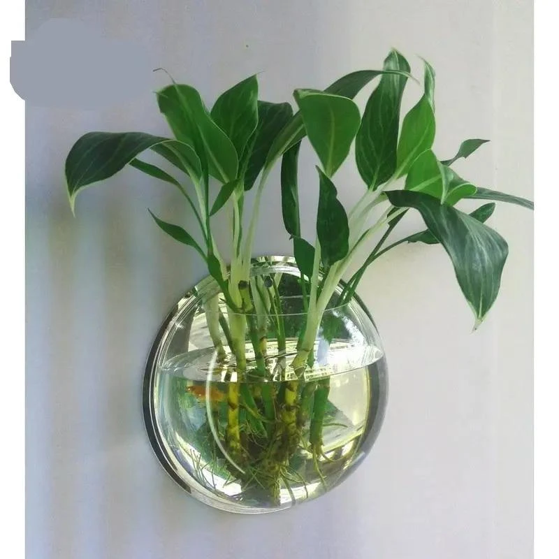 墙上置物架墙壁花架水培植物壁挂墙面装饰卧室客厅玻璃花盆花瓶