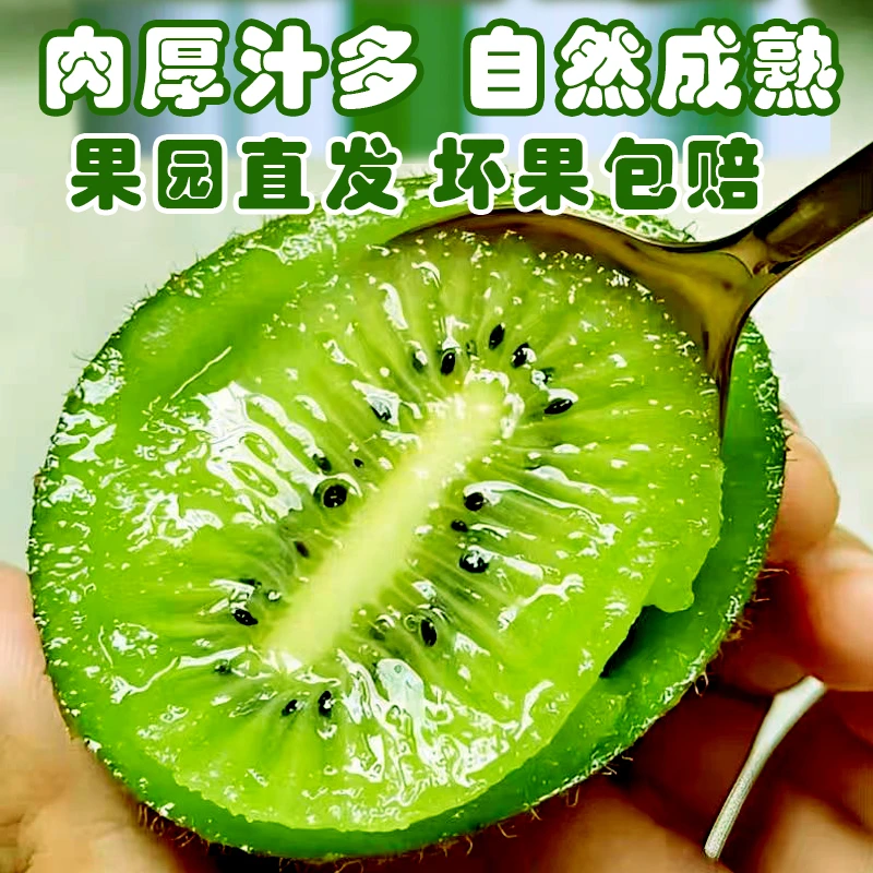 陕西秦岭绿心猕猴桃应季新鲜水果奇异果