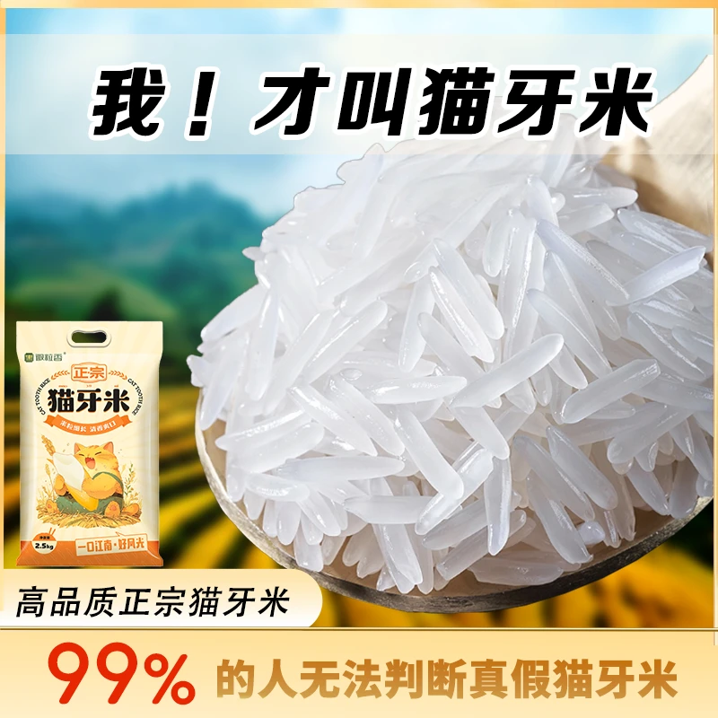 【正宗猫牙米】7-9mm长粒香米当季新米真空包装优质丝苗米现磨现发