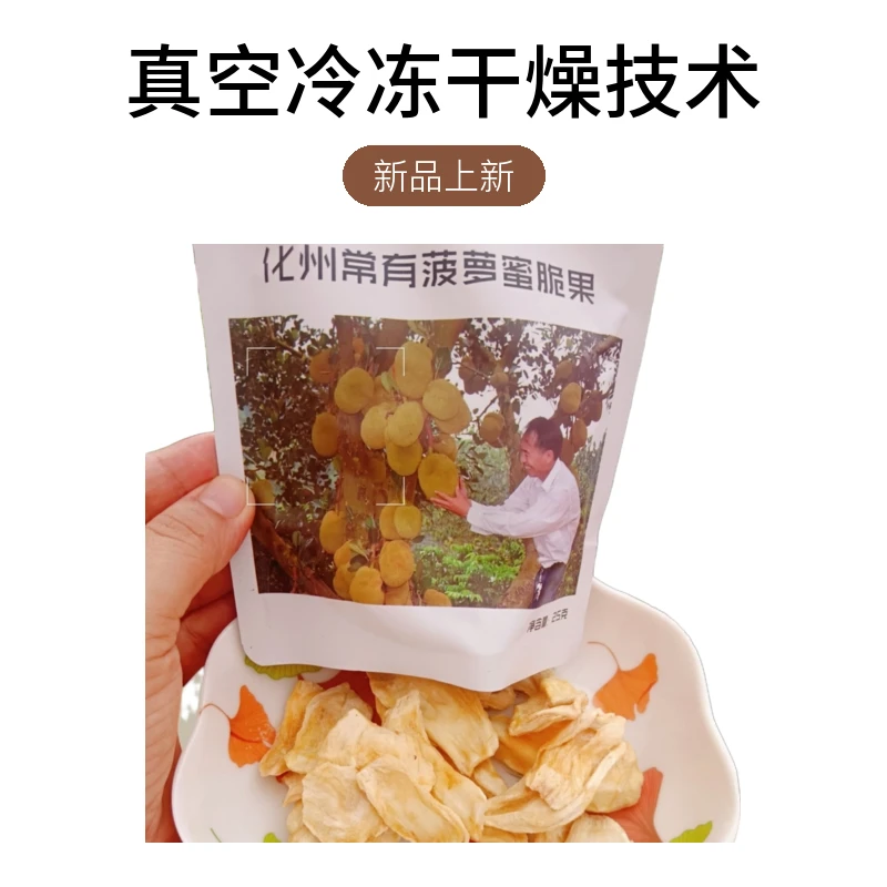 无品牌广东化州常有珍珠无胶菠萝蜜脆果冻干技术真空包装