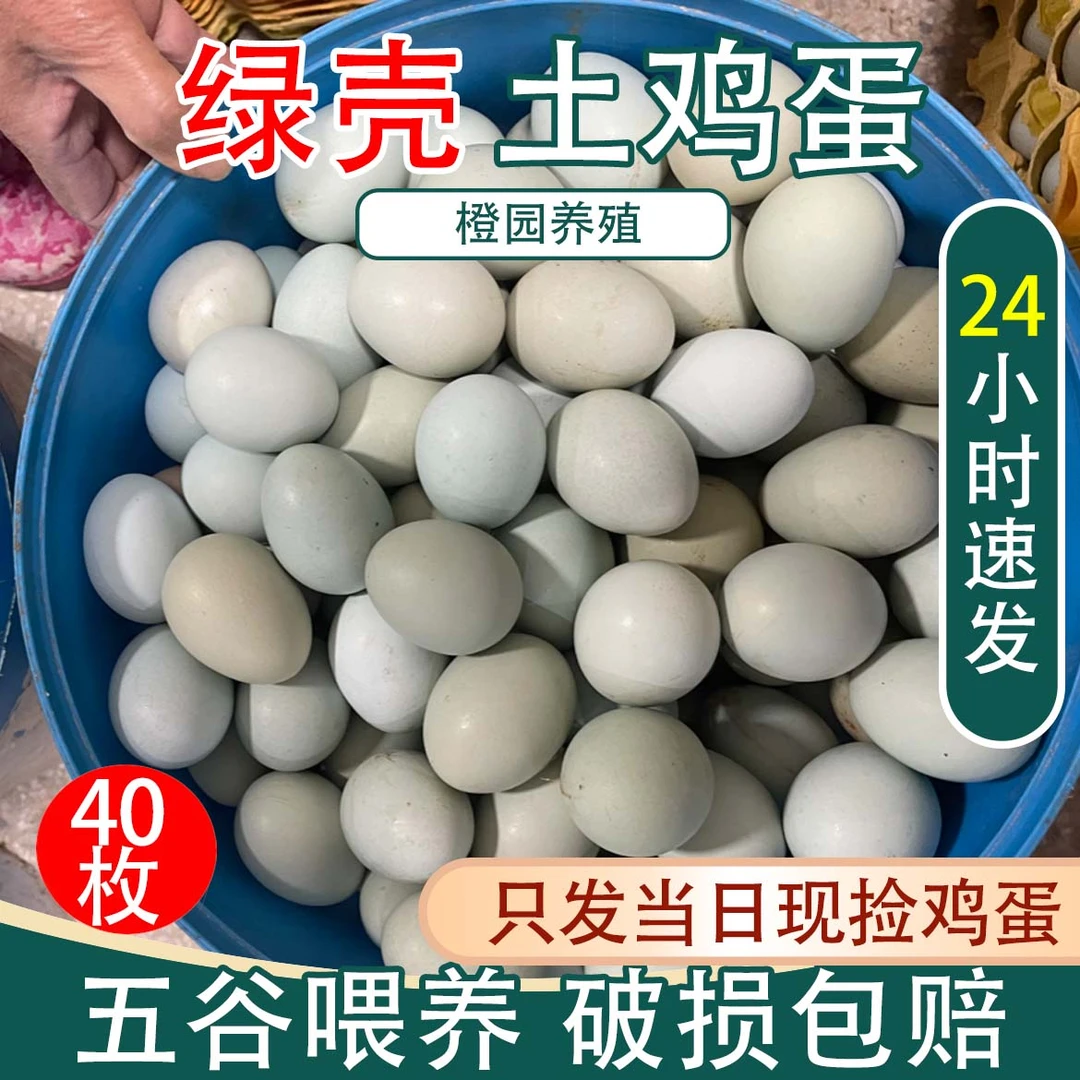 【40枚】散养绿壳土鸡蛋 现捡现发 五谷喂养 橙园放养