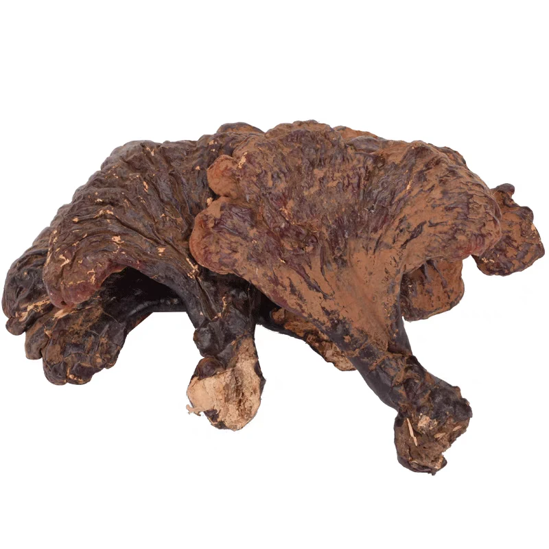 东北深山野生红灵菇50g包邮