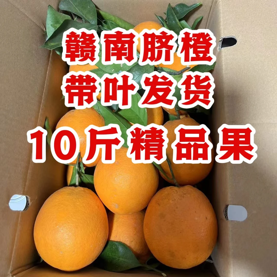 香里寻10斤带箱（江西赣州）正宗赣南脐橙新鲜现摘应季水果手剥橙子