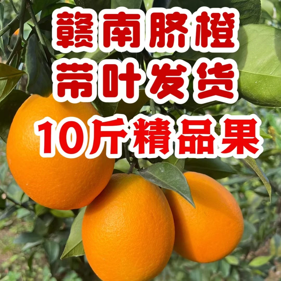 香里寻带箱10斤（江西赣州）赣南脐橙新鲜现摘应季水果手剥橙子