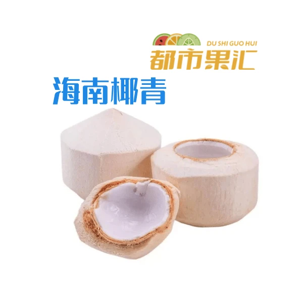 海南椰青一个