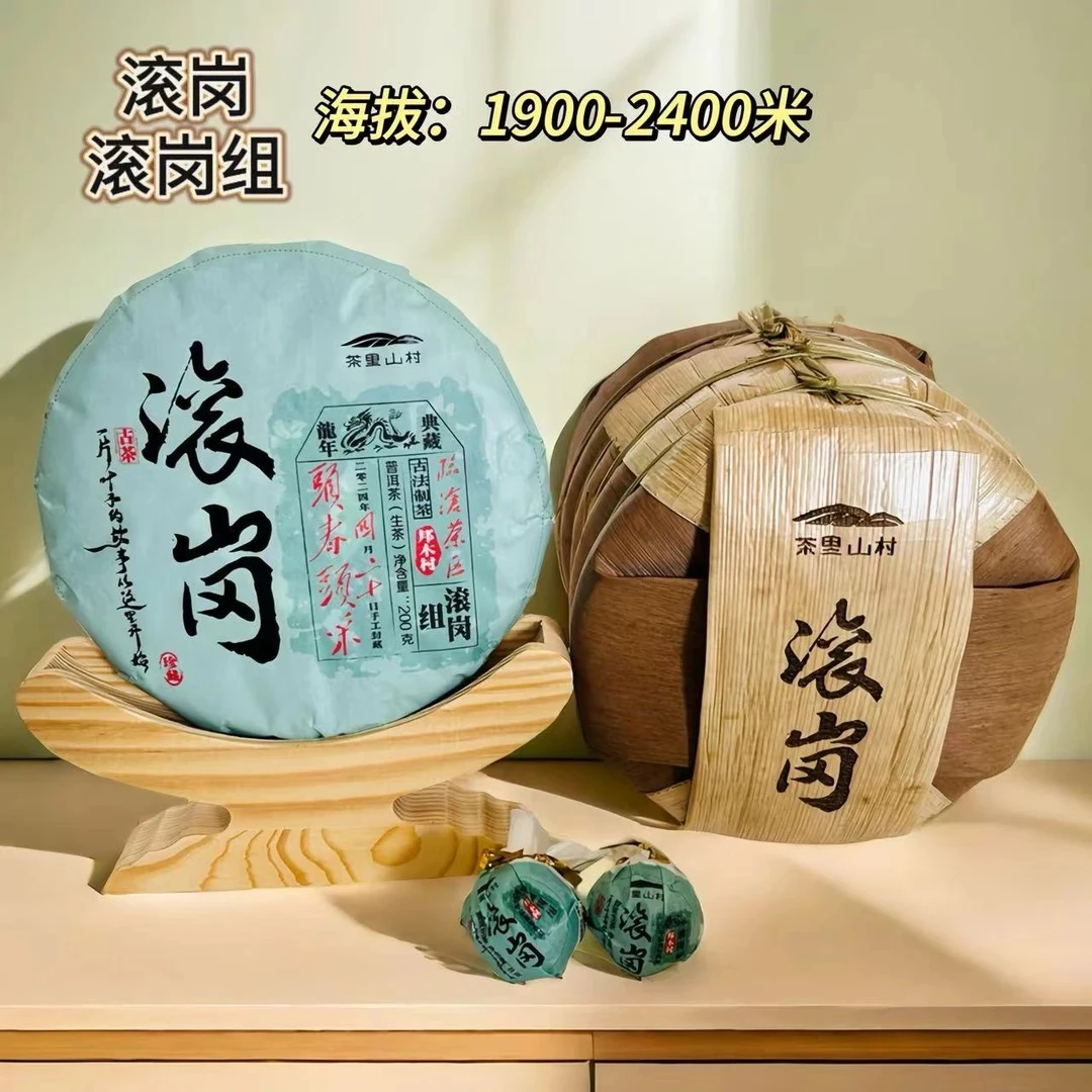 2024年/头春头采大古树/邦木村/《滚岗组、滚岗》/生茶