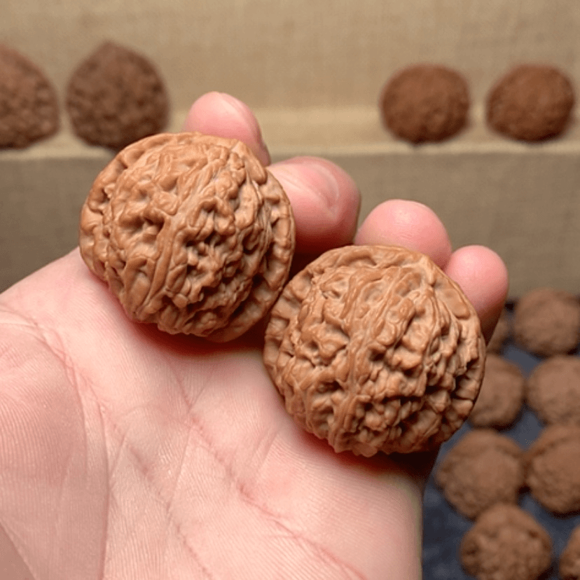 【闪购商品】文玩核桃核雕无**玩35全品白狮