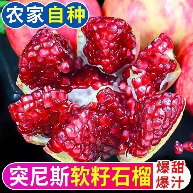 突尼斯软籽石榴4.5斤新鲜水果当季整箱包邮四川会理红宝石石榴