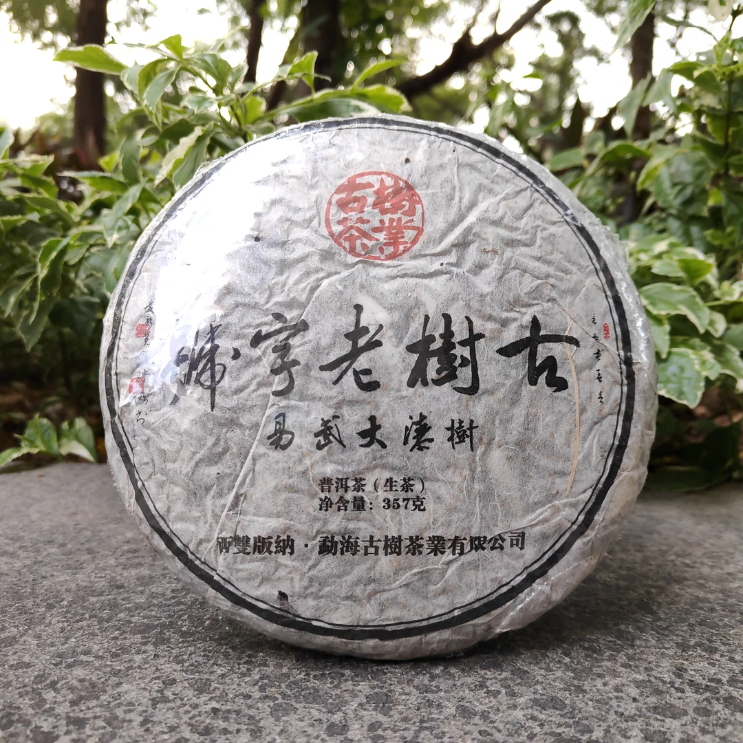 2013年  易武大漆树  生茶  357克  收藏  自饮