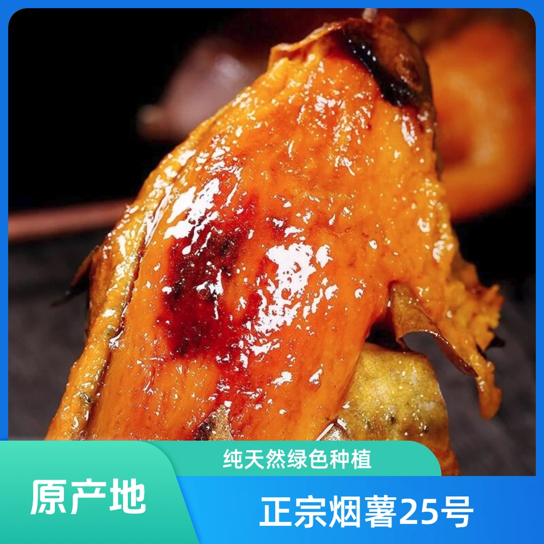 半生田新鲜烟薯25号甘薯糖心软糯香甜产地直发沙地蜜薯红薯烤红薯