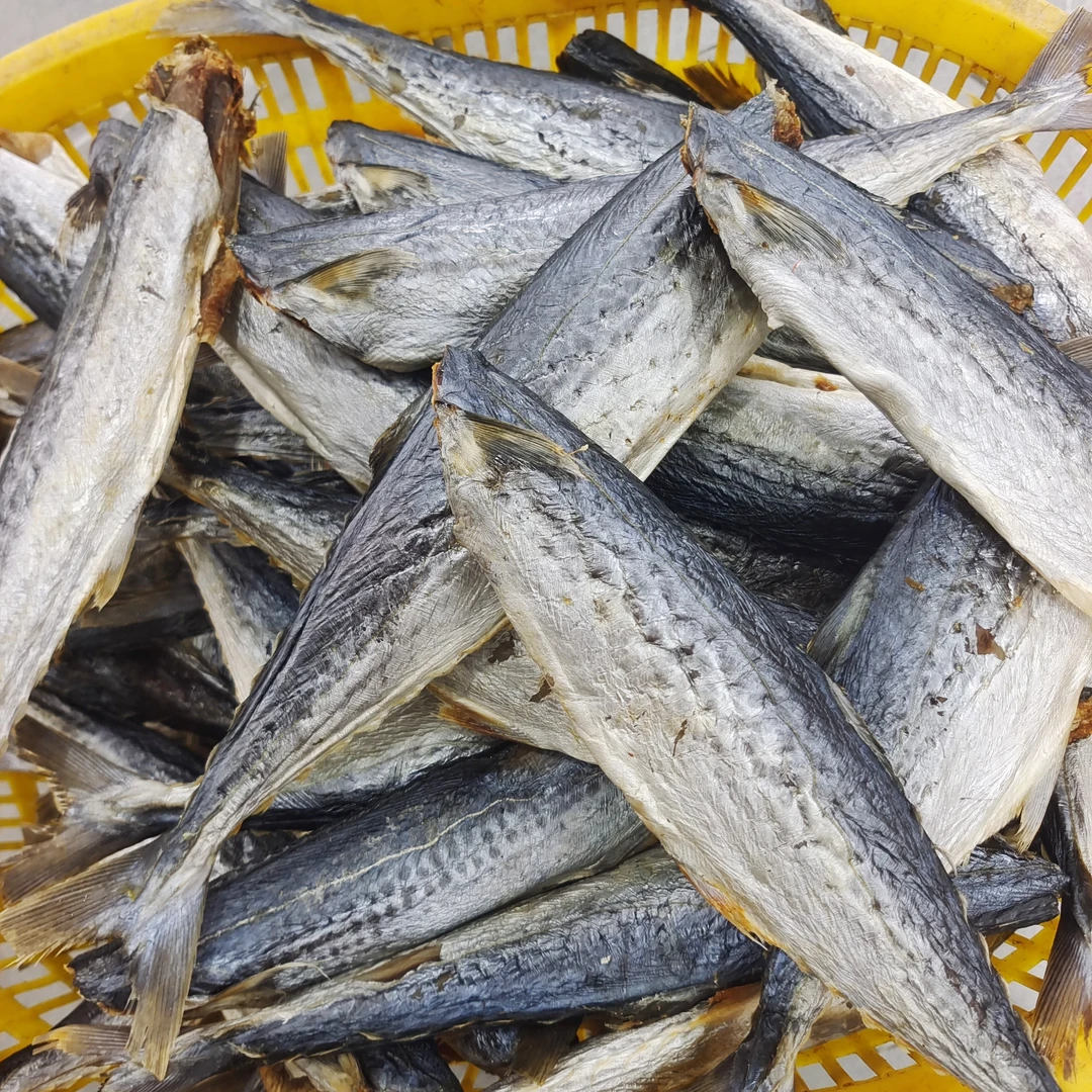 咸香马鲛鱼干500g（3条）海产干货广东茂名博贺港发货包邮