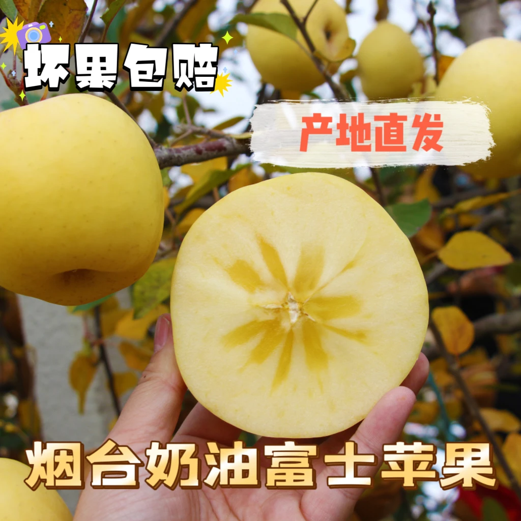 黄金奶油富士苹果脆甜多汁