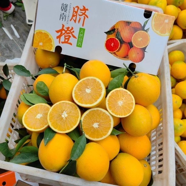 5斤10斤正宗赣南脐橙新鲜果园现摘香甜当季水果鲜橙