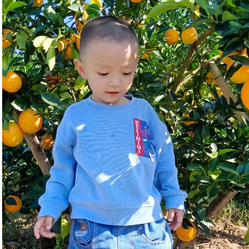 正宗赣南脐橙江西赣州橙子新鲜果园现摘香甜当季水果鲜橙