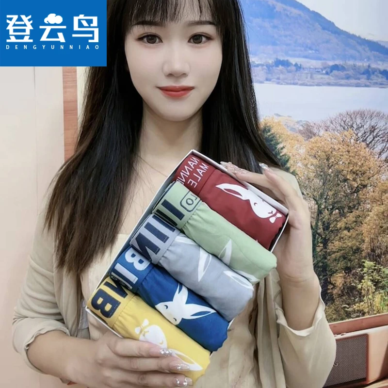 登云鸟5条男士内裤男款平角裤头舒适透气宽松大码男生四角短裤衩