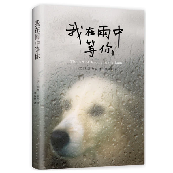 【微瑕】我在雨中等你（精装版）正版包邮