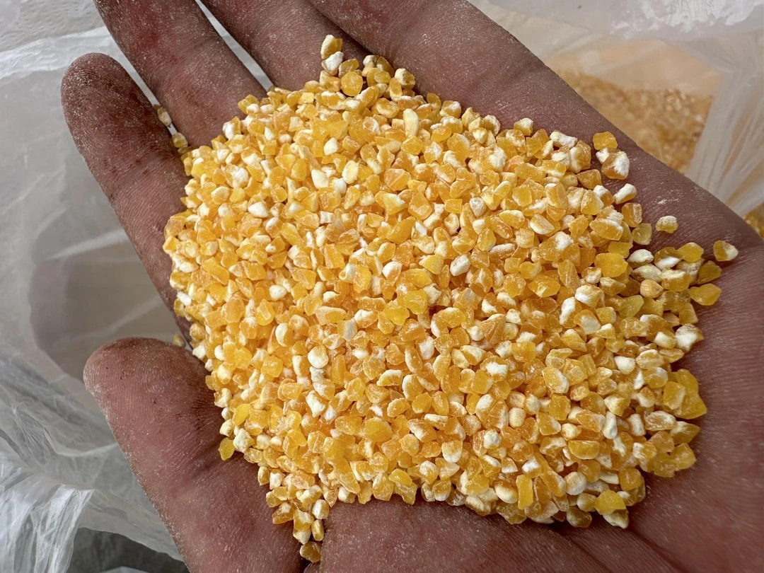 云南山货现收玉~米~茬~土特产菇