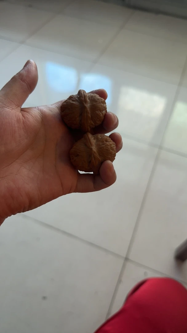 文玩核桃元宝维生素