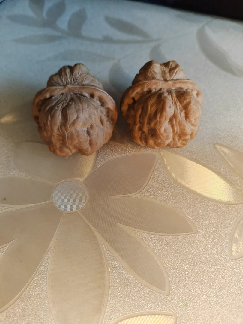 文玩核桃哈摸头大龙