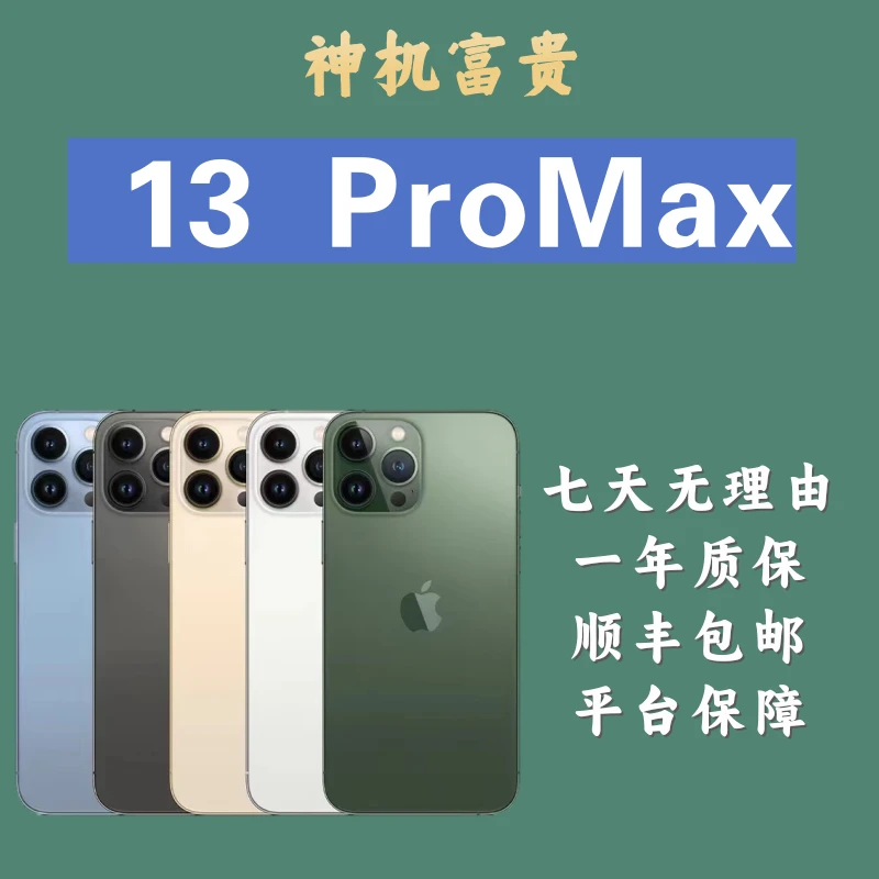 99新 Apple/苹果 苹果13ProMax 国行双卡原装正品 二手手机备用