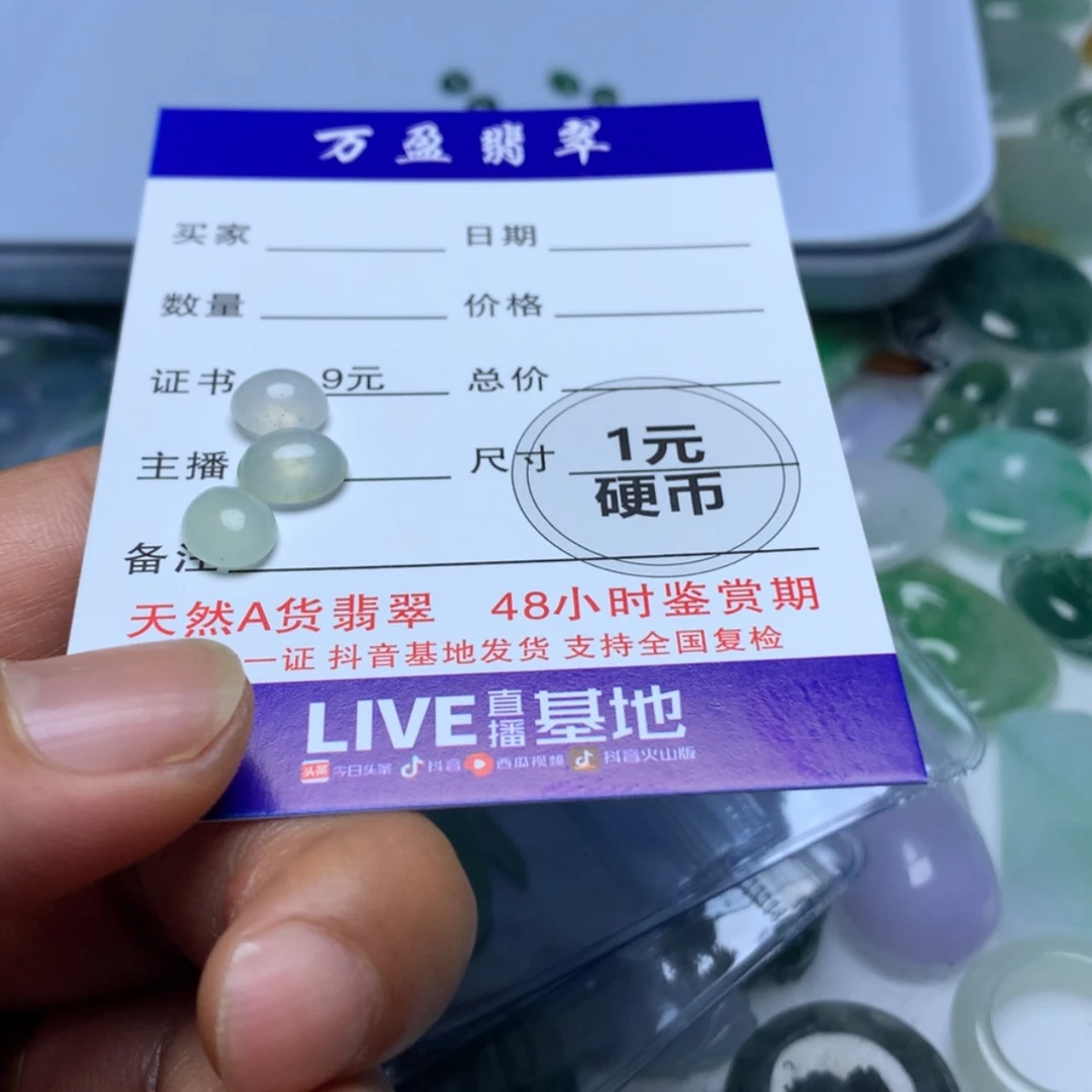 【闪购商品】翡翠颈饰未镶嵌安**绘