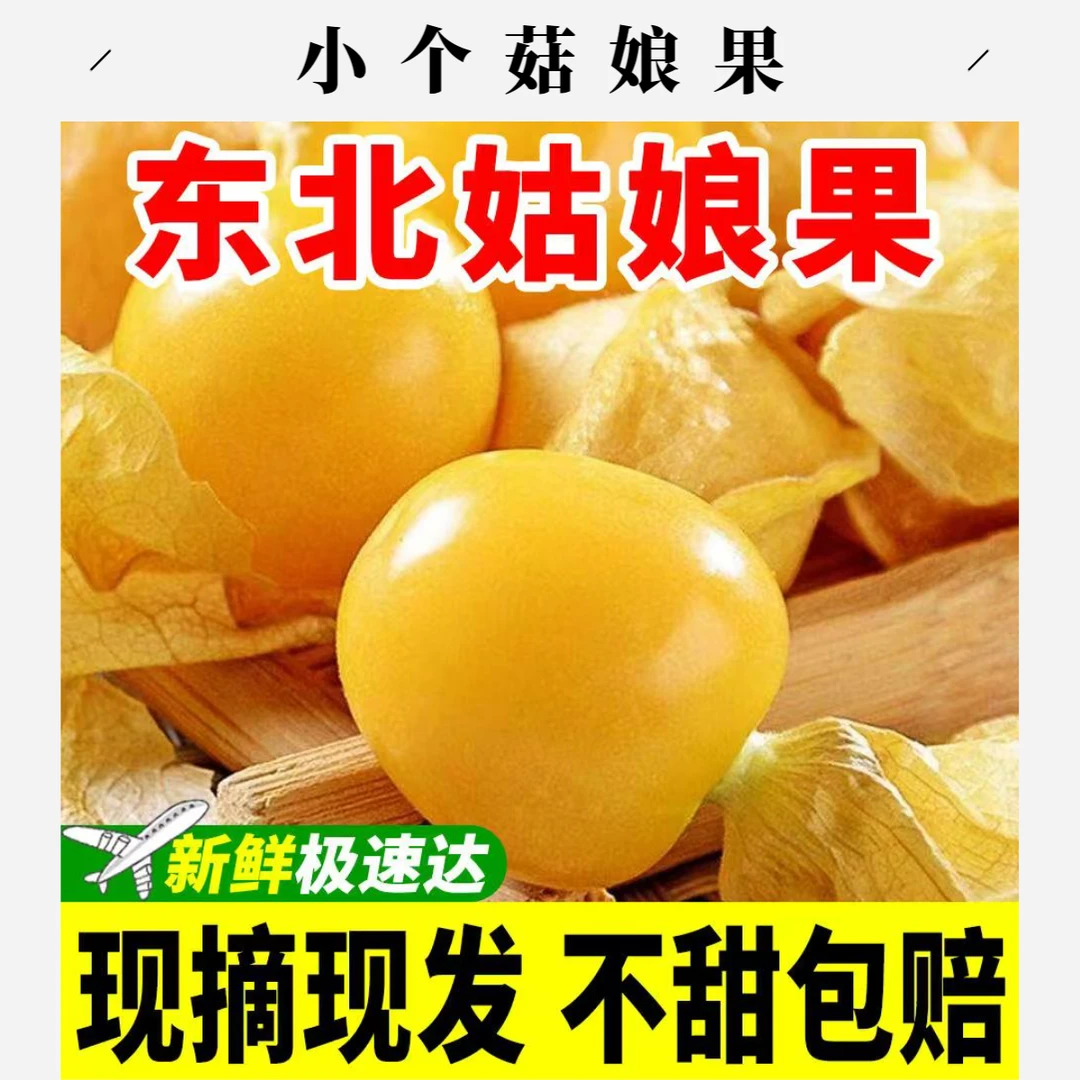小菇娘果】黑龙江新鲜菇娘果东北香甜小果灯笼果应季水果产地发货