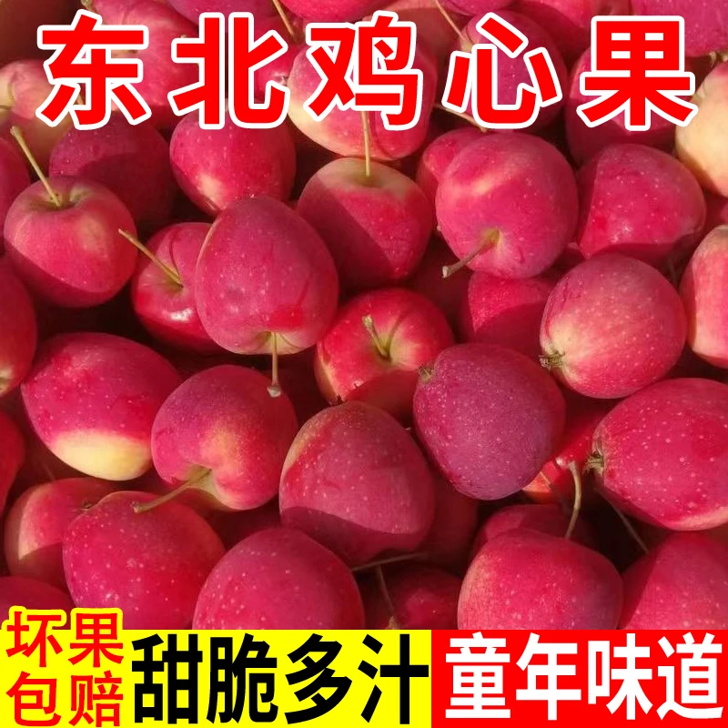 【大掉价】黑龙江鸡心果特产脆甜多汁新鲜采摘发货