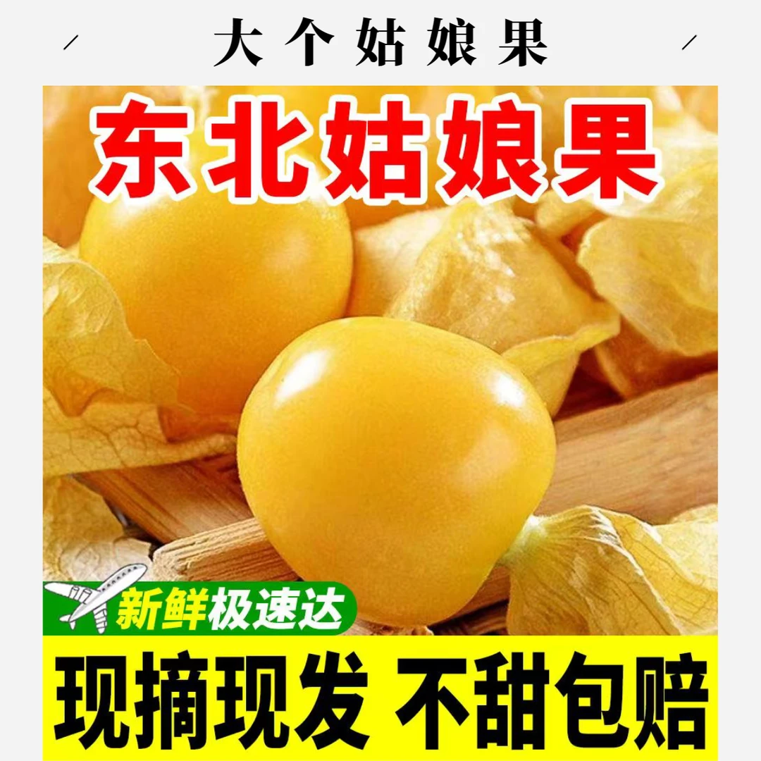 中大果】黑龙江新鲜菇娘果东北香甜大果灯笼果应季水果产地发货
