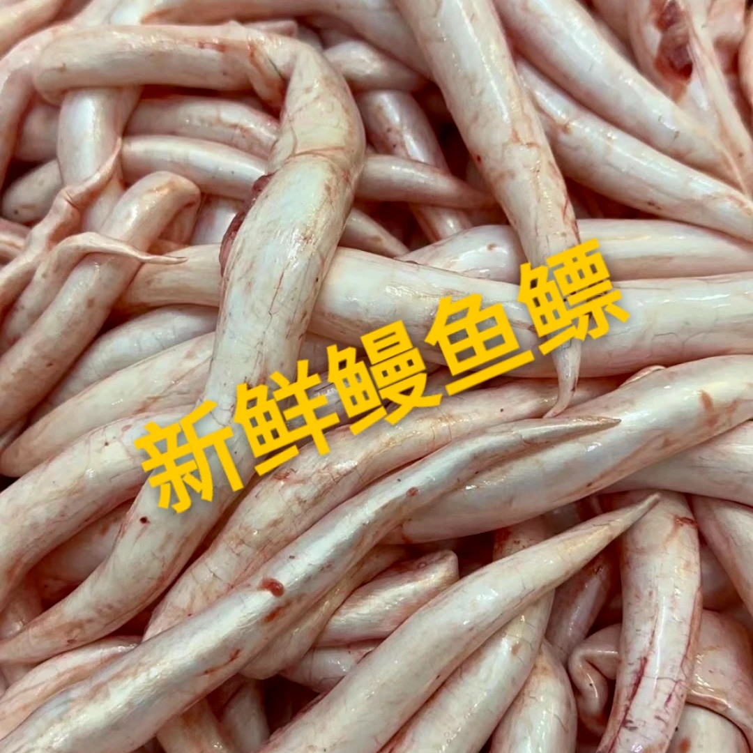 新鲜鳗鱼鳔海南大鳗鱼 现成改价 0-500克