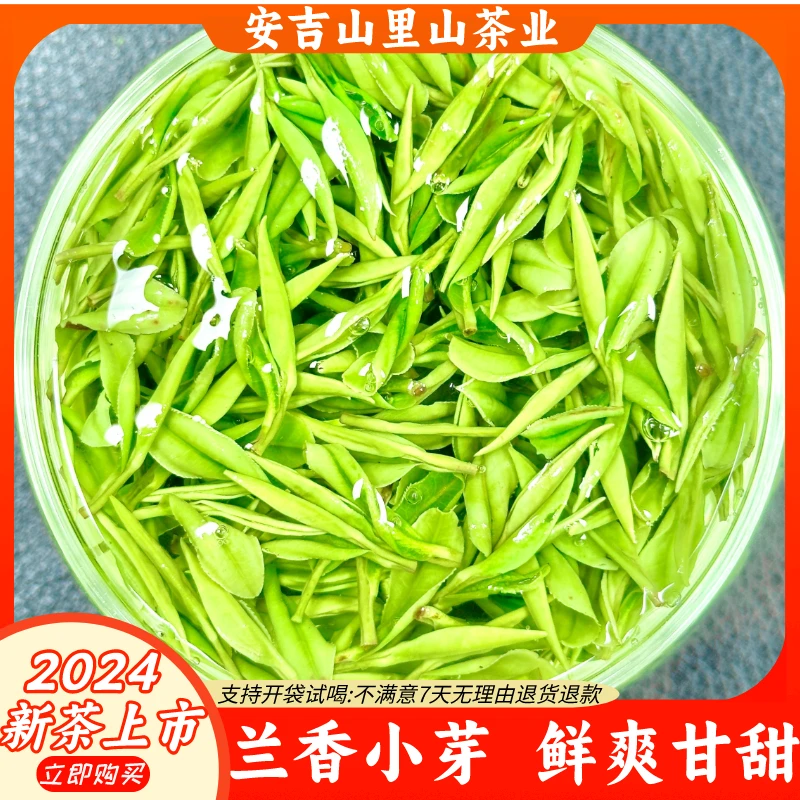 【明前小芽】2024年新茶安吉原产地白茶开园小芽兰花香绿茶高山茶