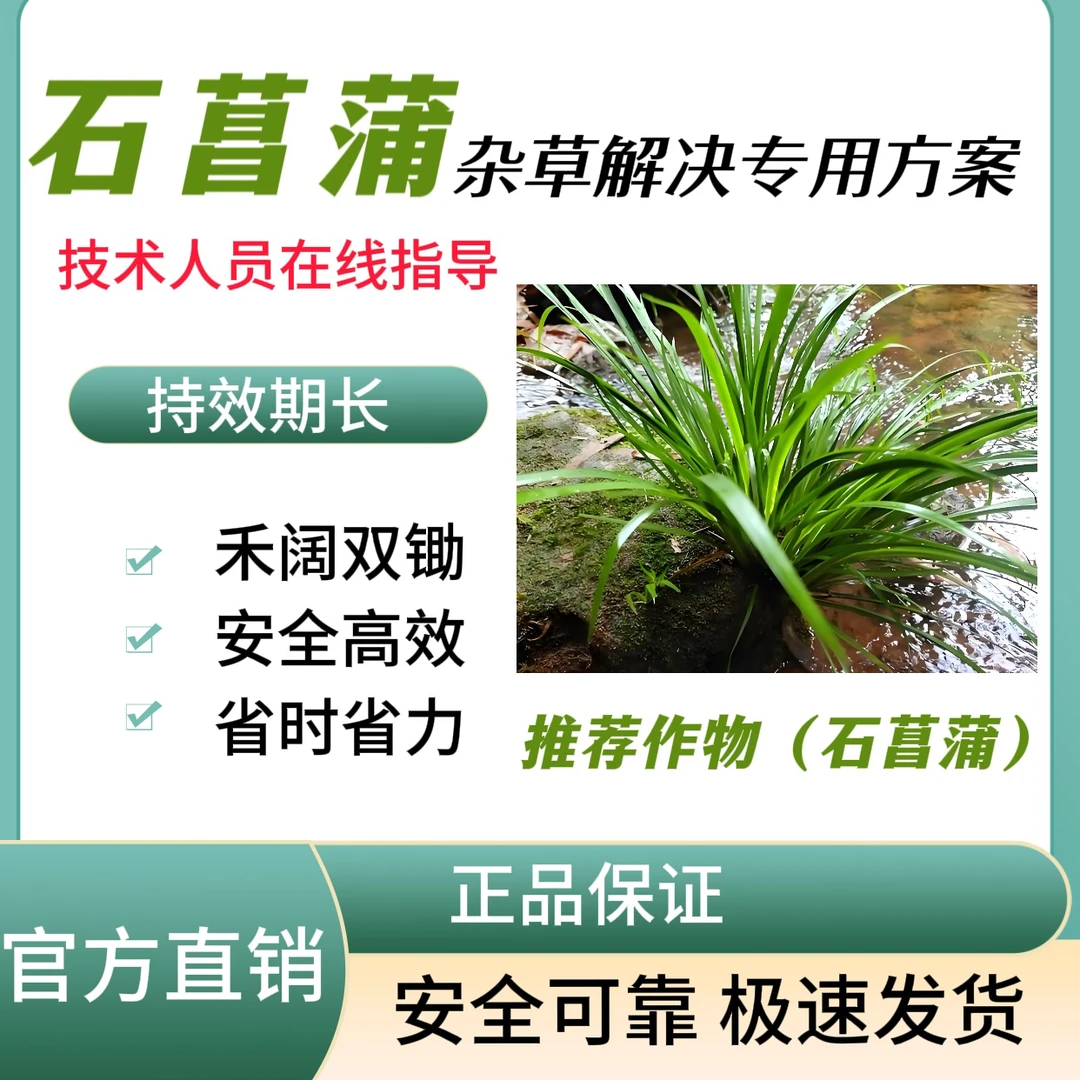 石菖蒲田专用助剂安全高效禾阔双出厂家直销正品保证极速发货