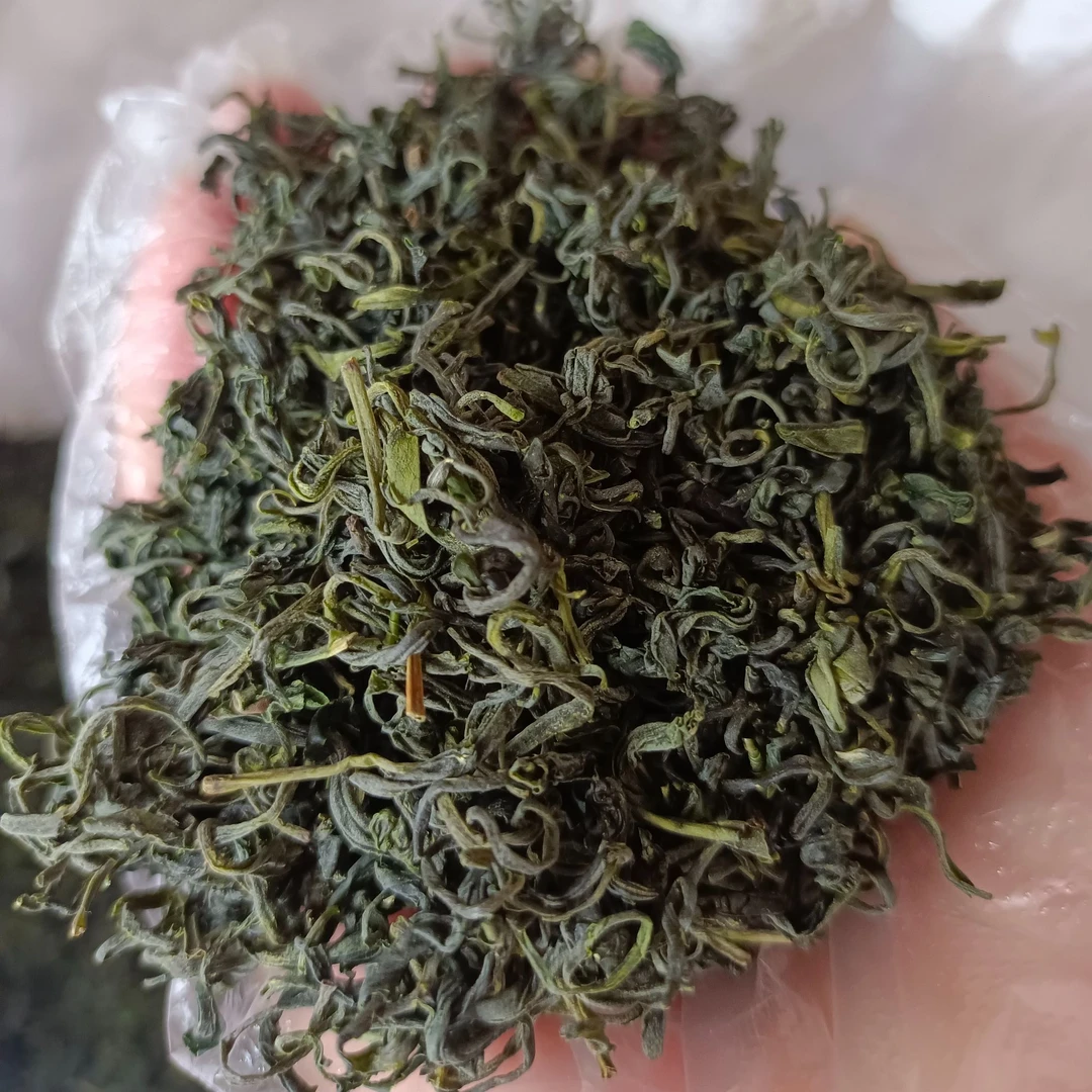 安徽大别山区绿茶袋装500g高山日照手工茶实惠茶叶