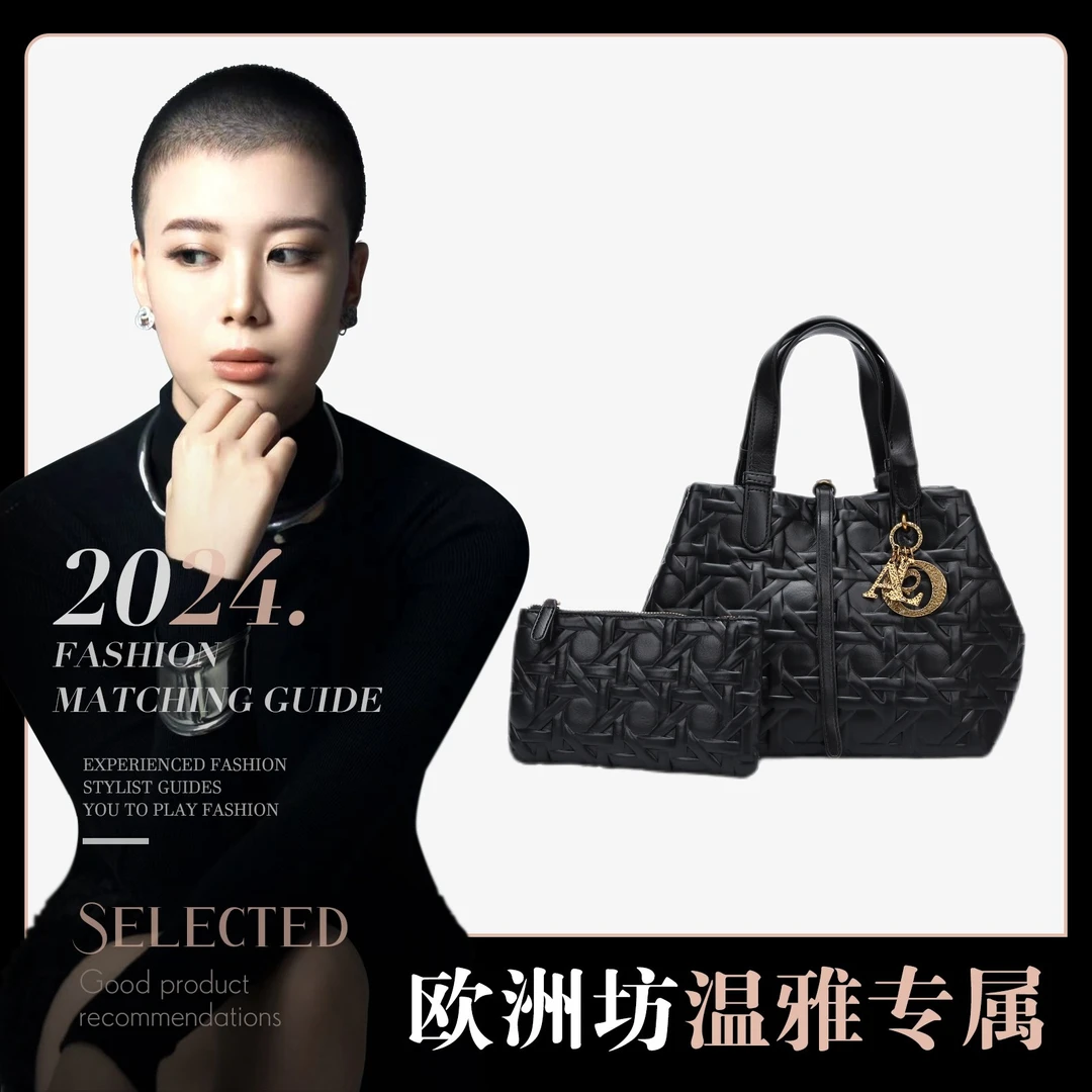 【温雅专属】休闲百搭小众手提包包510