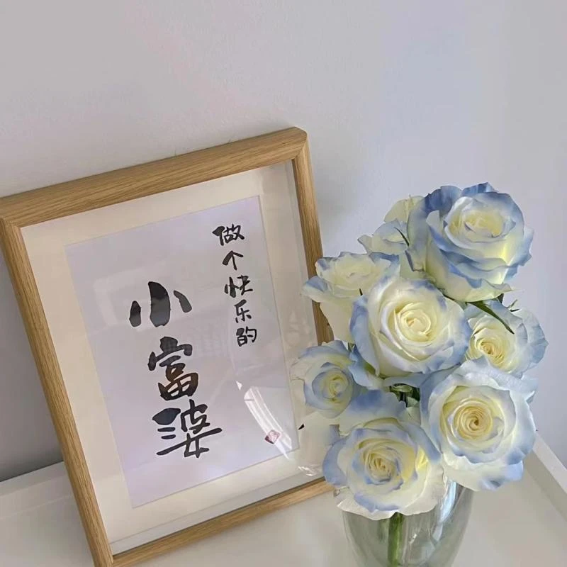 网红喷色鲜花碎冰蓝云南昆明基地花卉直发家养鲜切花
