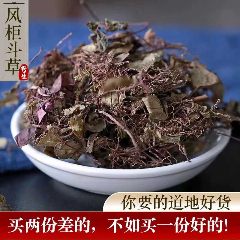 2年苗【干货】80克深山采摘风斗草茶褚头红手工优品鲜味