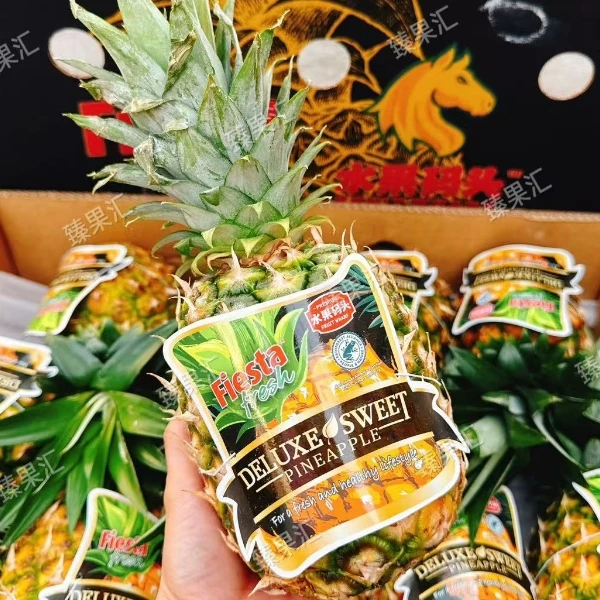 【臻果汇】菲律宾水果码头黄金凤梨2个/4.5-5斤 顺丰包邮